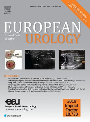 cover EUJournal_July 2021