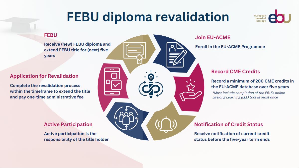 FEBU Revalidation process schema eu-acme, cmecpd, cme, cpd, portfolio, mycme, FEBU Revalidation